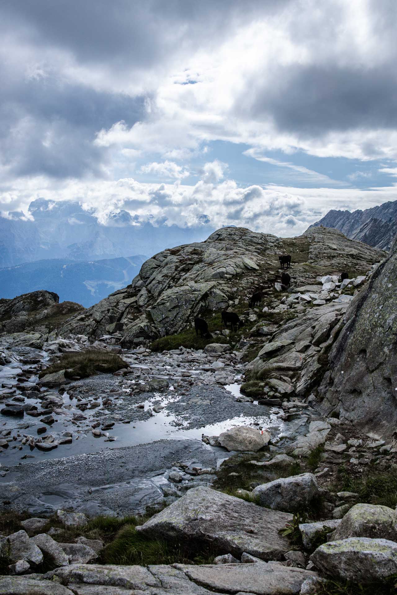 VISIT TRENTINO PHOTO SHOOTING-11